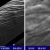 Researchers use graphene nanosheets to fabricate electroconductive textiles